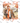 Make Fall Cozy Again Design