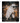 Raccoon Ghost Costume Night Drink Photo Design