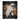 Raccoon Ghost Costume Night Drink Photo Design