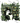 Witch Ghost In Green Armchair Library Design