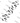 Flying Bat Flock Design