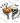 Stay Creepy Skeleton Hands with Pumpkin and Skull Design
