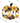 Thankful Leopard Sunflower Pumpkin Light Script Design