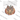 Leopard Bow Pumpkin White Print Design