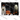 Halloween Night Ghost Cat Pumpkin Moon Panels Design