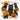 Black Cats Pumpkin Patch Light Design