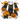 Black Cats Pumpkin Patch Dark Design